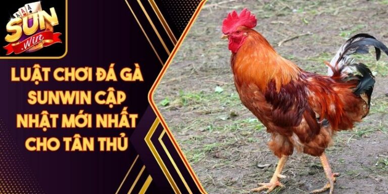 Luật Chơi Đá Gà Sunwin Cập Nhật Mới Nhất Cho Tân Thủ